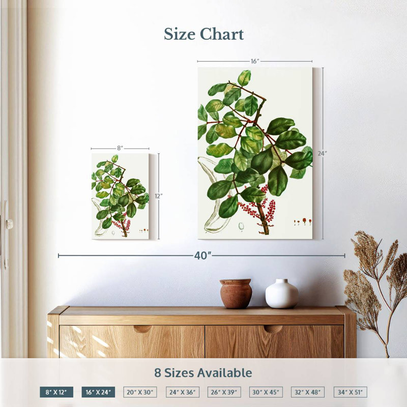 Keiri Carob Tree, 12" H x 8" W