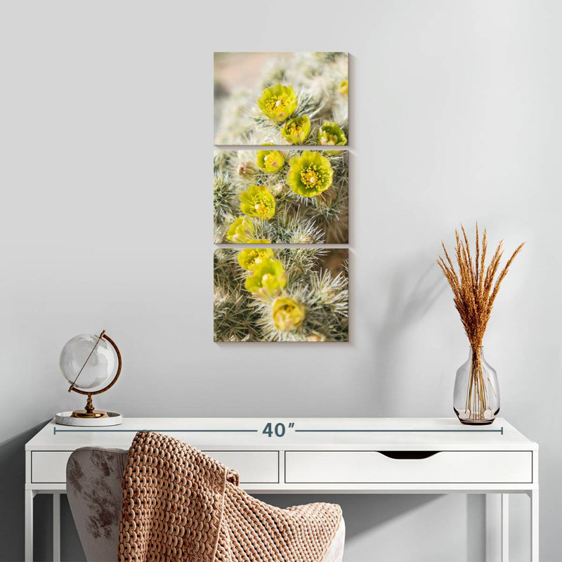 Cholla cactus, H 27 po x l 12 po
