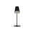 Hannon Metal Desk Lamp-1077524236