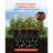 Galvanized Raised Garden Beds, 8 x 4 x 1 ft, Rectangular Metal Planter Boxes Kit Outdoor, Bottomless Elevated Planting Box with Gloves, Alu-Zinc, for Growing Flowers Vegetables, Dark Gray-1776257068-1776257070