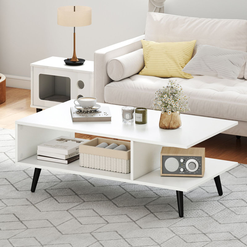 Coffee Table with Storage