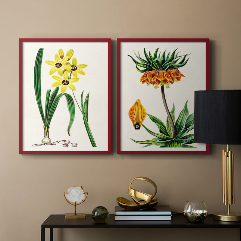 AntiqueFloralFolioVI - reproduction encadrée de qualité supérieure - prête à être accrochée - aucun clou requis - aucun clou requis