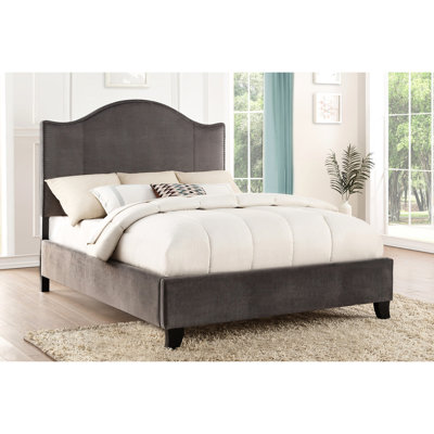 Full Bedroom Bed With Gray Velvet Upholstery, Solid Wood Frame, Headboard And Nailhead Trim, Box Spring Needed For Use Installation Upholstered Size Bed, Modern Traditional Appeal, & Essential