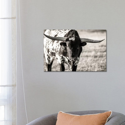 Longhorn Portrait by Tyler Stockton - Wrapped Canvas Print