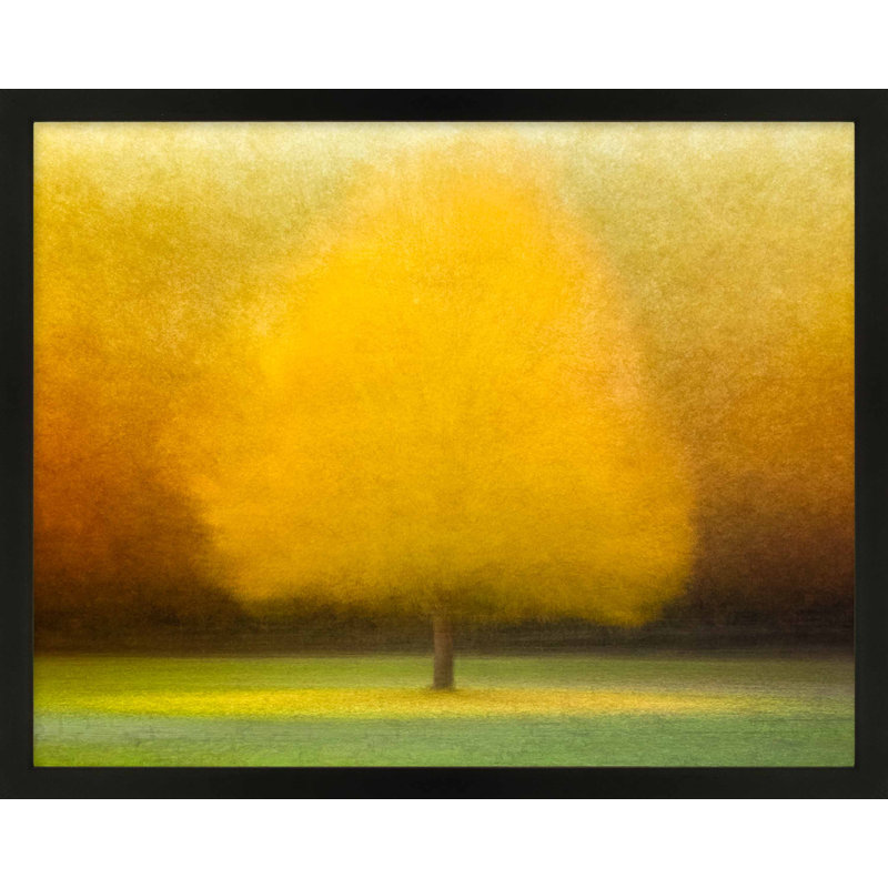 Idyl Wood by Laura Zimmerman - Framed Wall Art, Black Framed Paper, 16" H x 20" W