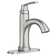 Wellton Single Hole Bathroom Faucet with Drain Assembly