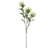 Protea Stem - Set of 6 - Green/Cream