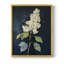 Série FLORAL CLxxv - reproduction encadrée de qualité supérieure - prête à être accrochée - aucun clou requis-307797535-307797528