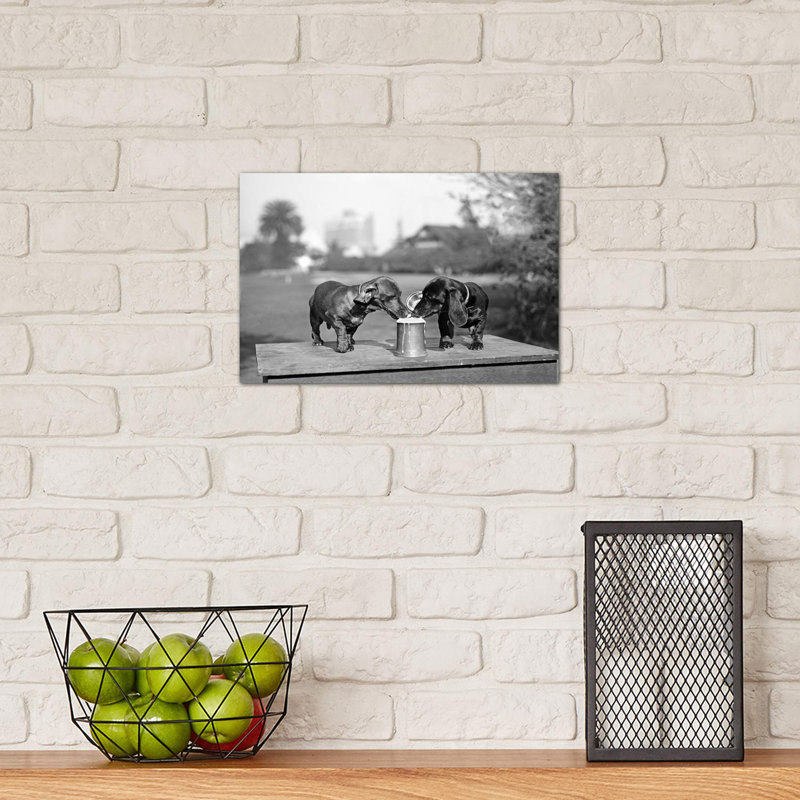 1890s Two Dachshund Puppies Lapping Beer From Stein by Vintage Images - Wrapped Canvas Print, 20.32 cm H x 30.48 cm W