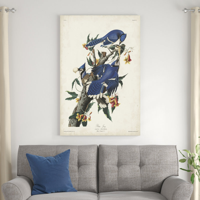 Pl 102 geai bleu, H 48 po x l 32 po