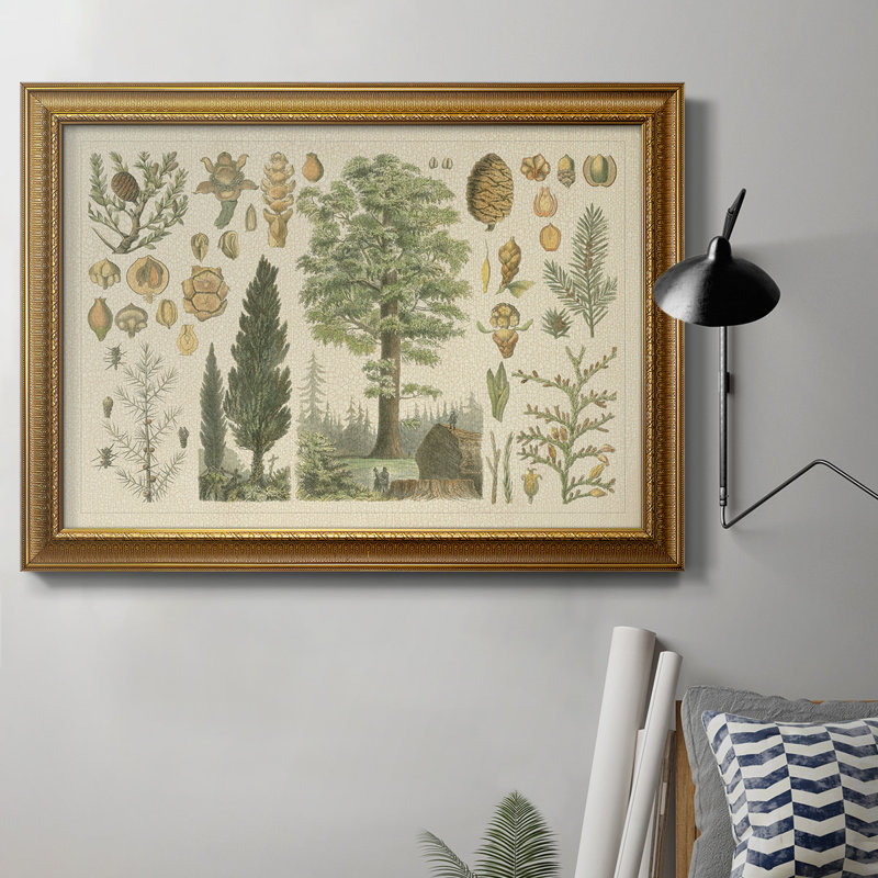 Collection Arbor - reproduction de photo sur toile