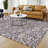 Machine Washable Indoor/Outdoor Chantille ACN2572 Floral Rug-554132777-554132774