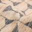 Geometric Area Rug in Light Brown/Black-76951791