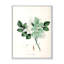 «Vintage Blossoming Flower IV», peinture sur toile-59815314-59815323