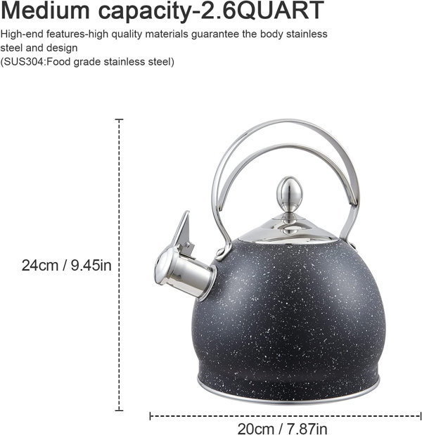 Hausroland Capacity 1l Stainless Steel Tea Kettle Induction Bottom