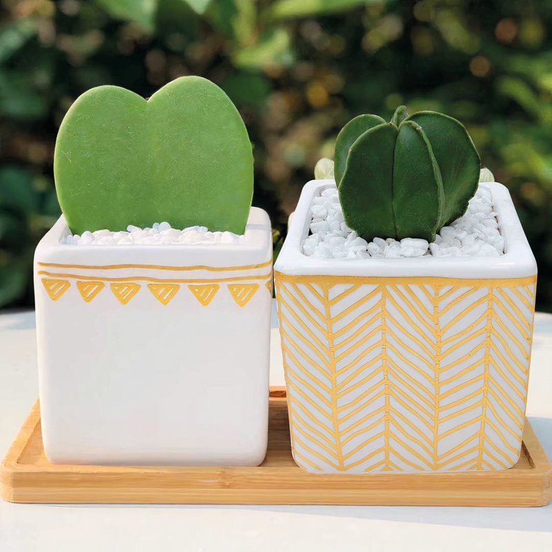 Yitzel Handmade Ceramic Pot Planter