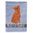 Griffon bruxellois orange sélectionné