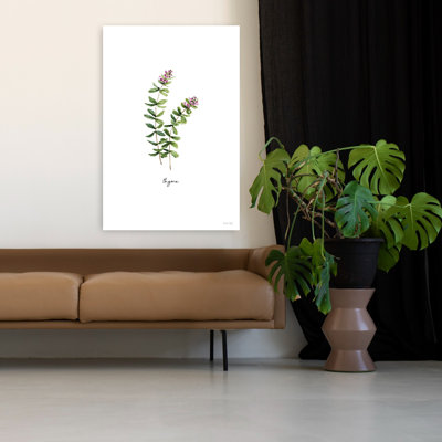 Thym, fines herbes, nature minimaliste, plante, art moderne
