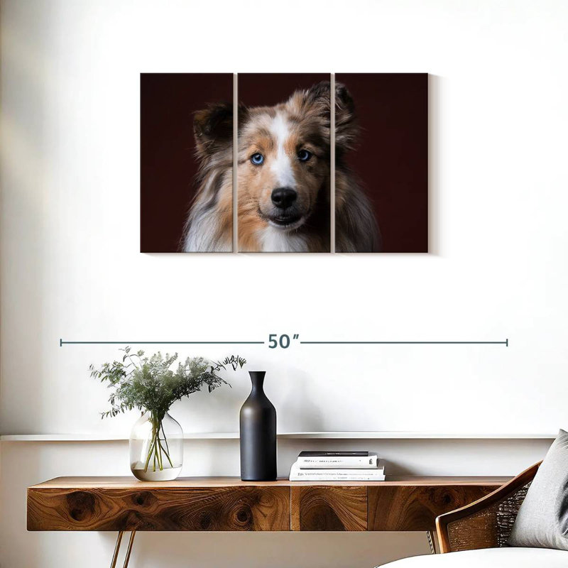 Adorable Sheltie, H 20 po x l 33 po
