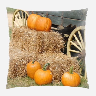  Coussin intérieur / extérieur Pumpkins