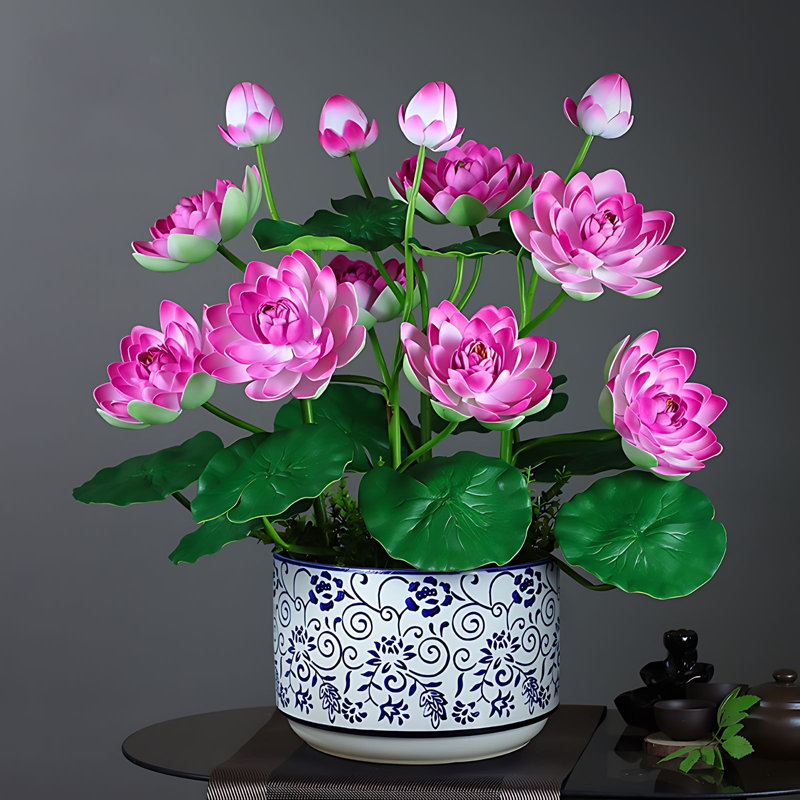 Ranunculus Arrangement in Pot, Rose