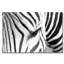 Eye Of The Zebra Print by DecorumBY-46472030-71205200