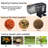 Roseanna 10 Gallons Rectangle Aquarium Tank