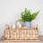 Household Essentials Wood Bin