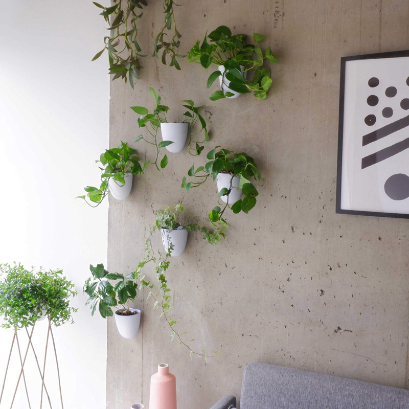 Wall Planter