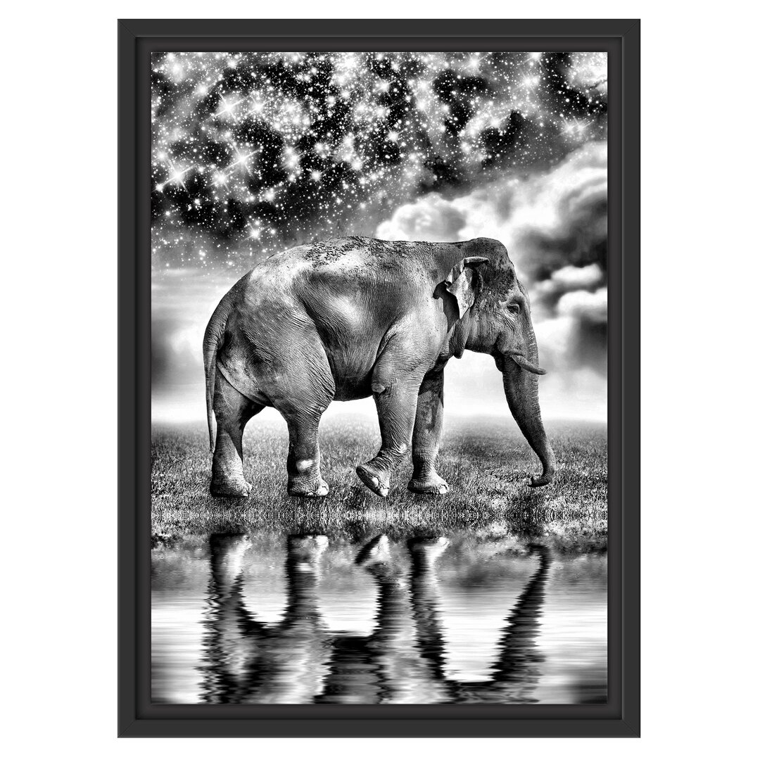 Gerahmtes Wandbild Elefant mit Sternenhimmel