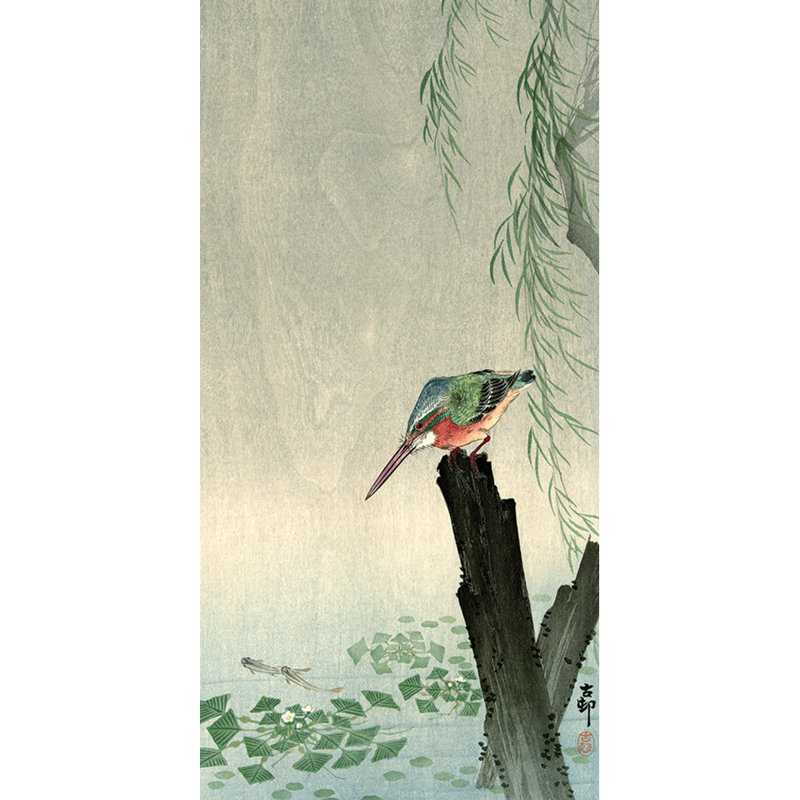 Kingfisher - Wrapped Canvas Print