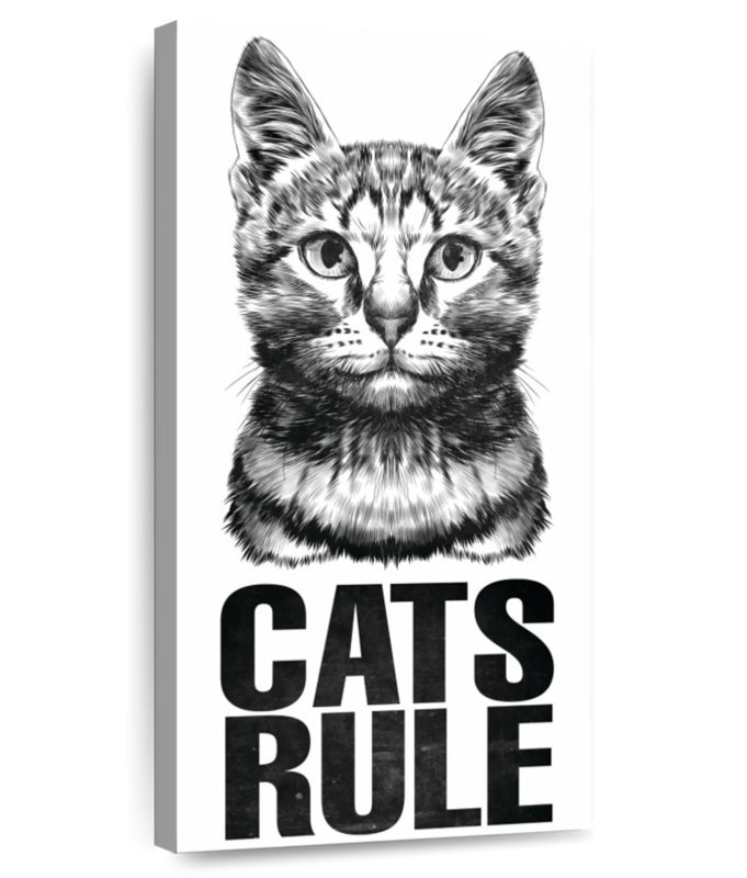 Cats Rule