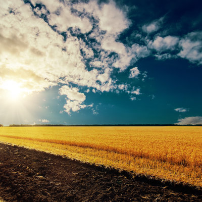 Aly Sunset Over Field - Wrapped Canvas Print