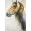 Impression d'un cheval sauvage encadré - Western Animal Home Decor