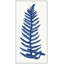 Blue Fern 2 Print-663240122-663240124