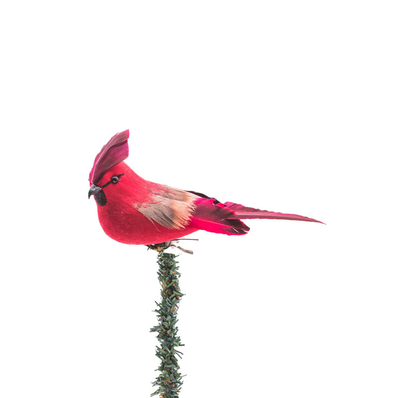Médiator cardinal en mousse Figuroa