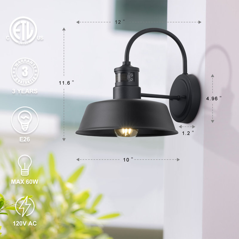 Adaela Iron Wall Light, 2 Lights
