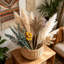 Bouquet d'herbes de pampas séchées - décor d'herbe de pampas boho 100% naturel pour la maison, grandes fleurs séchées pour vase, décor de chambre côtière et scandinave, centre de table de mariage, pampas blanches avec eucalyptus