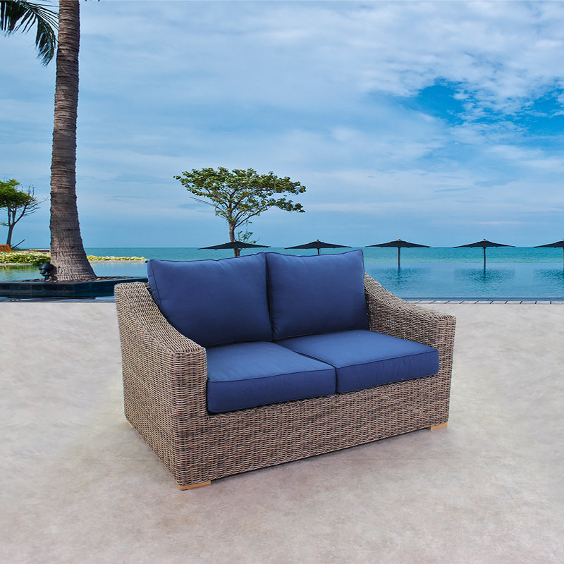 68.5'' Wide Loveseat with Cushions