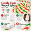 600.01 " LED Outdoor Rope Lights