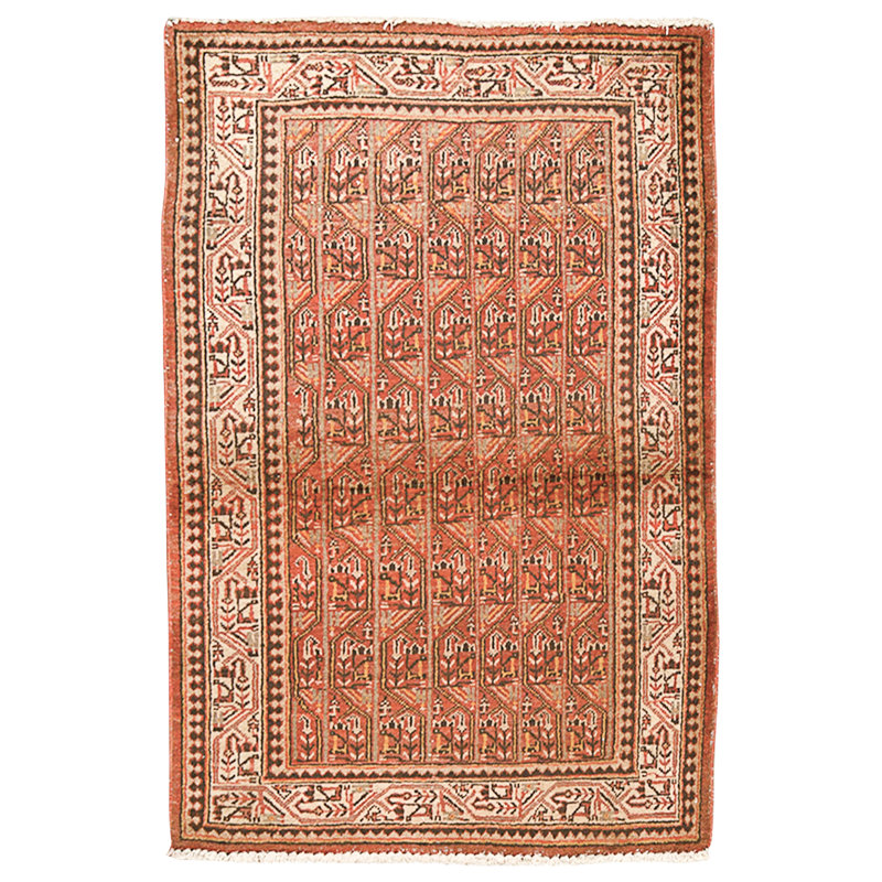 Hand Knotted Wool Area Rug in Multi