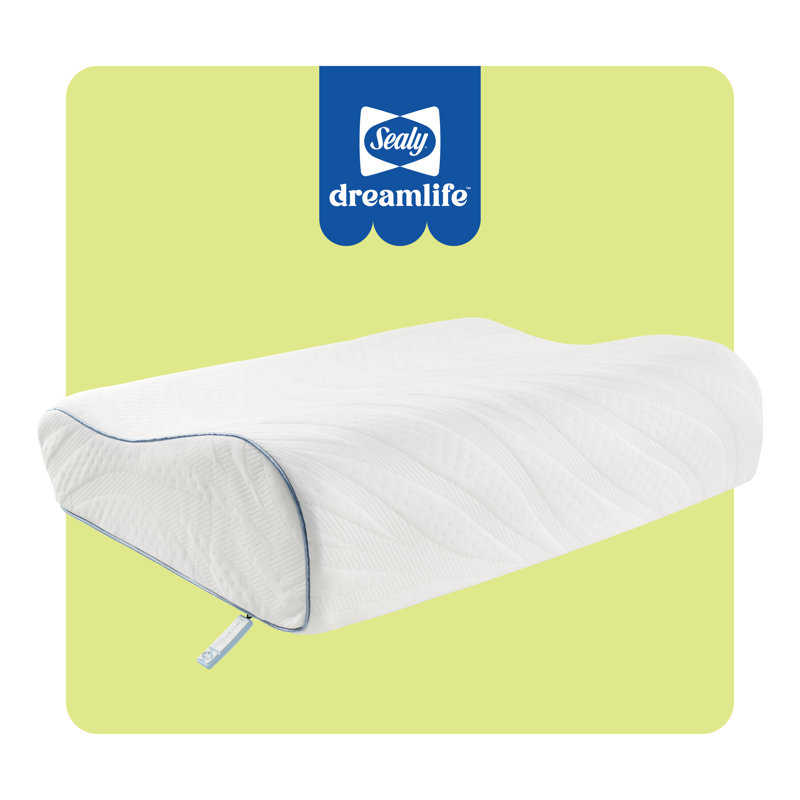 Sealy Dreamlife Contour Memory Foam Medium Pillow, Standard
