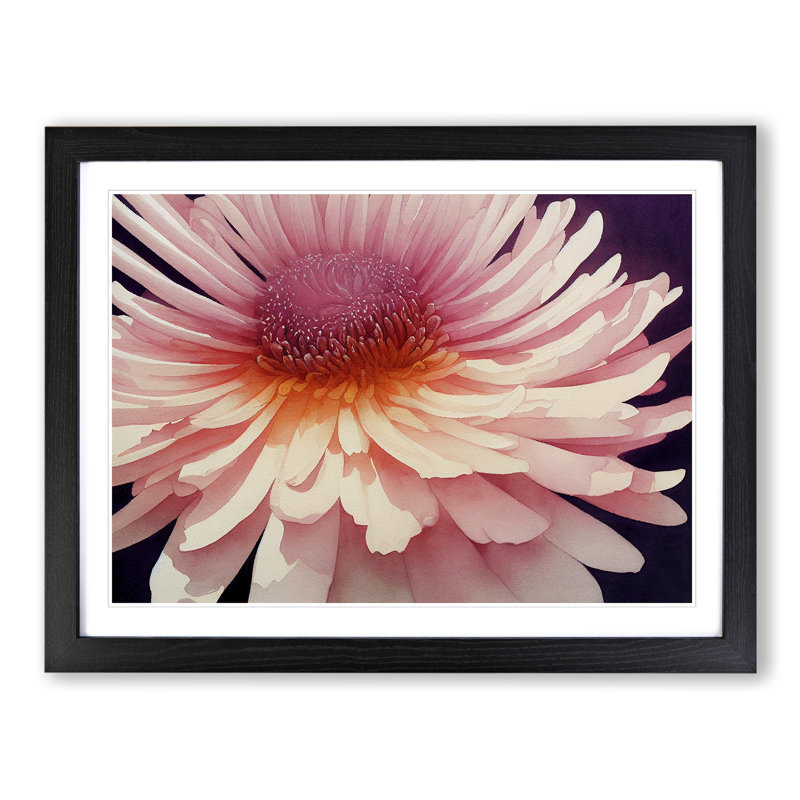 Chrysanthemum Watercolour Flower Vol.2 - Framed Print, 25cm H x 34cm W x 2cm D, Black Framed