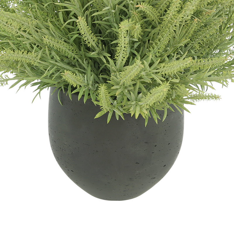 Astilbe Arrangement In A Fiberstone Pot