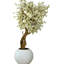 Pot à fleurs en forme de cerisier blanc dans un globe beige mat 30 po-136252218-136252219