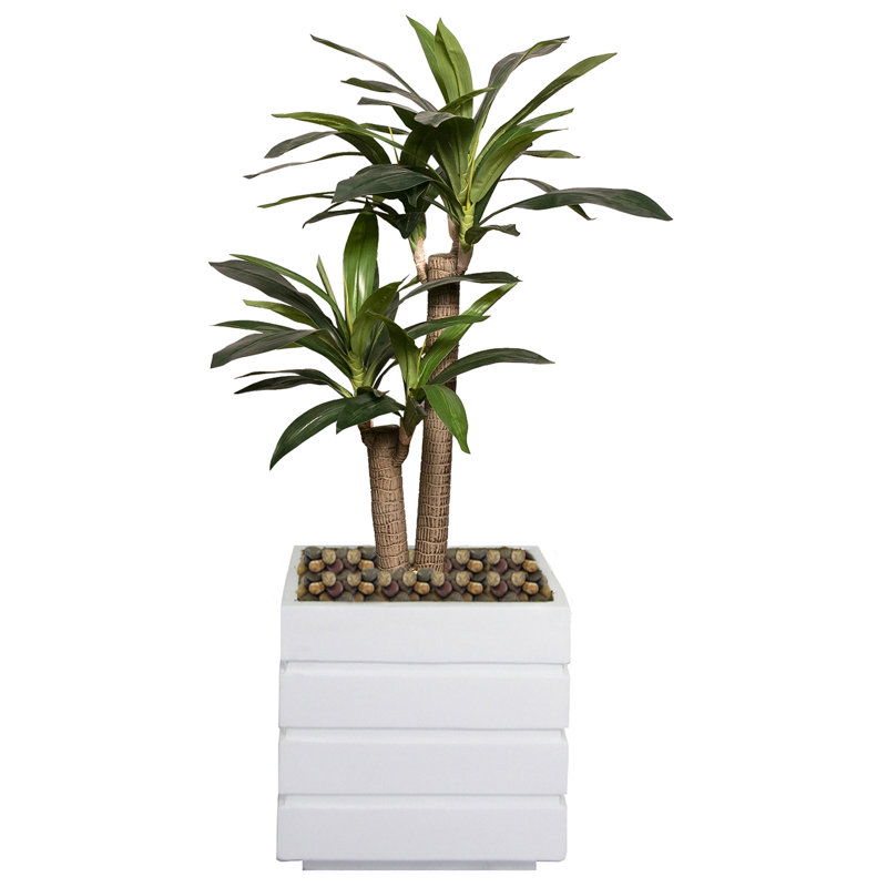 Dracaena artificiel en pot 51 po Panama, Blanc