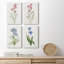 Delicate Pink I - ensemble de 4 peintures sur toile tendue-659347964