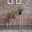 Plant Stand