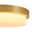 Brass LED Opal Glass Round Ceiling Light