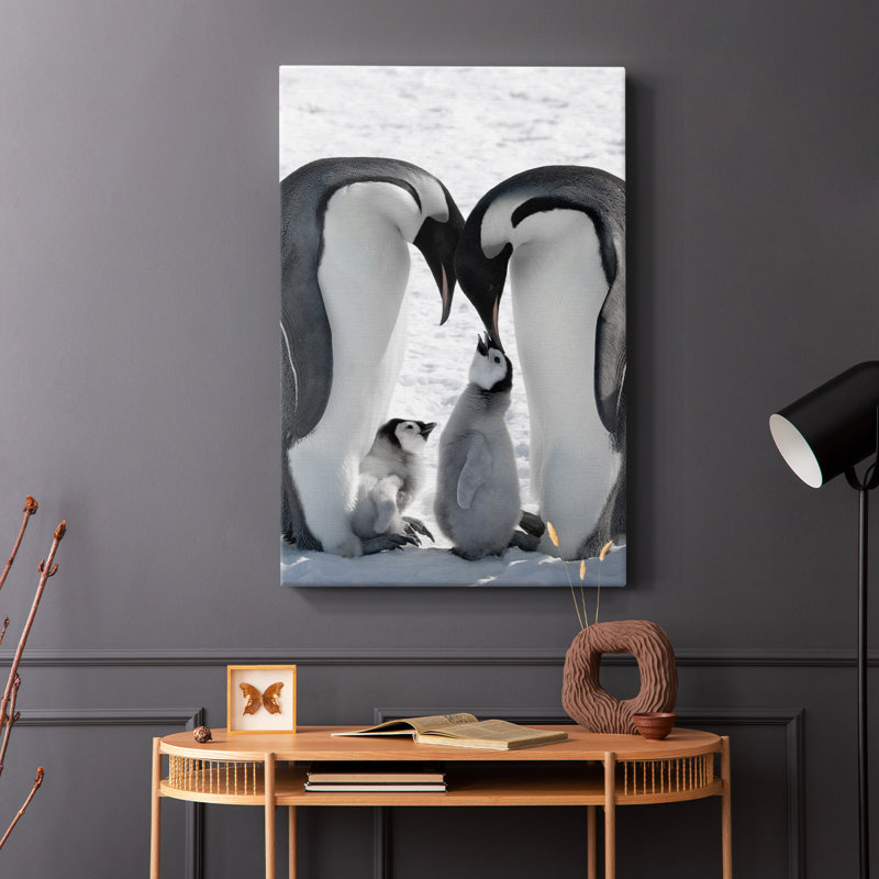Famille Snow Hill Island - Cavas enveloppés de galerie, H 60 po x l 40 po